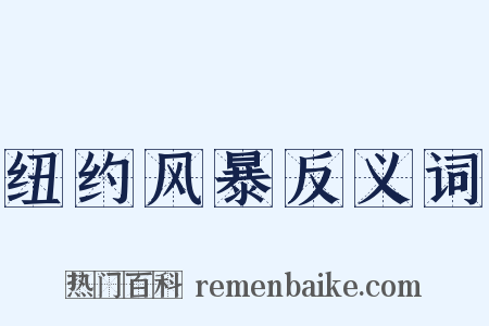 纽约风暴反义词是什么意思的图片